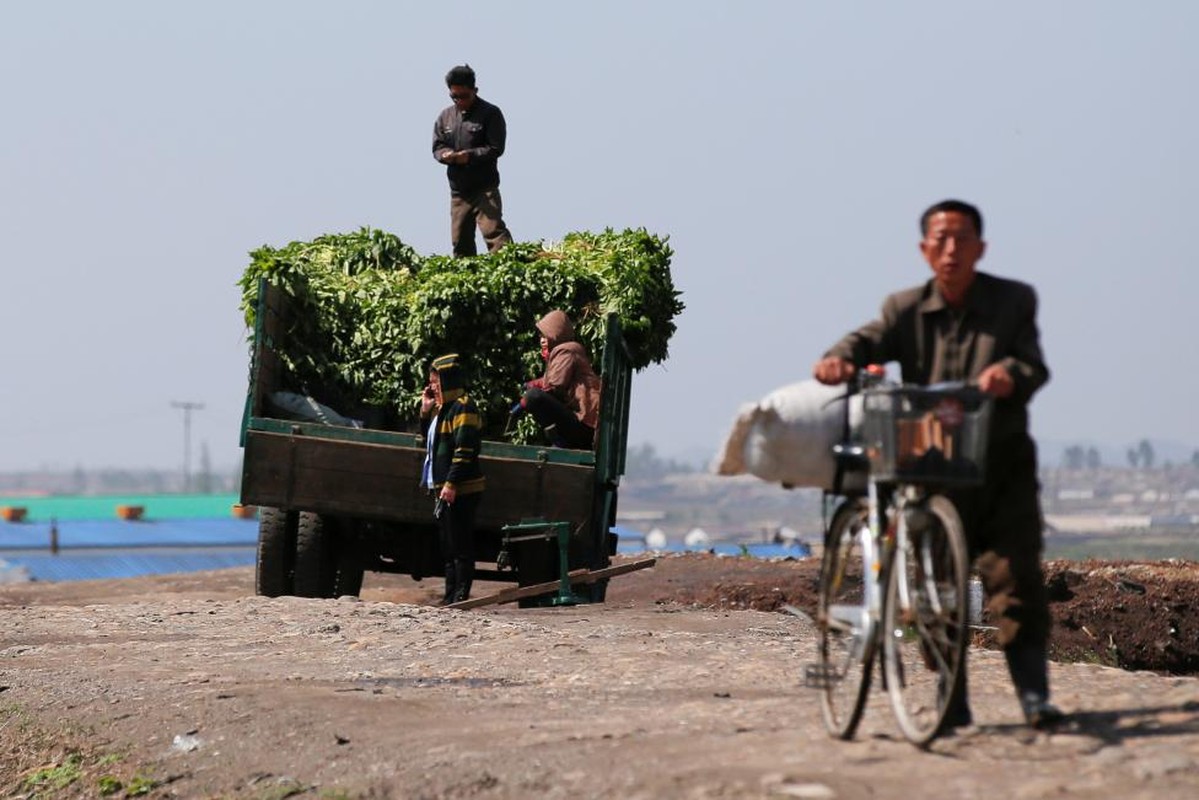 Anh mot trang trai o Trieu Tien cua phong vien Reuters-Hinh-5